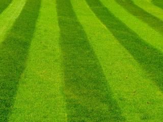 Mowing grass lines